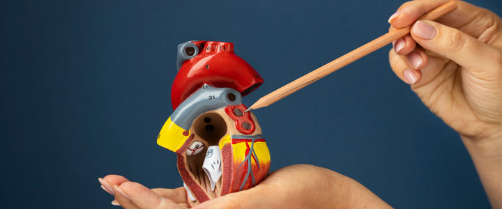 Minimally Invasive Heart Surgery Chandigarh